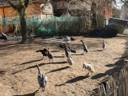 Februar_2023_Wanderung