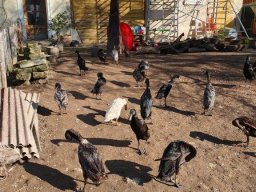 Februar_2023_Wanderung
