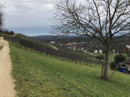 Januar_2023_Wanderung