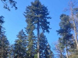 Maerz-Wanderung_2025