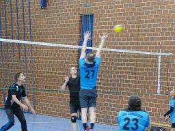 Volleyball_Hallenspieltag_2021