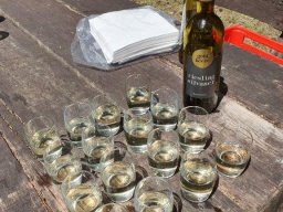 Wanderung_Juni_2023