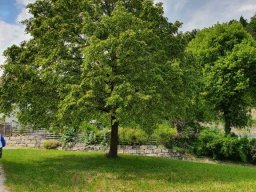Wanderung_Juni_2023