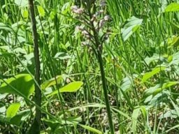Wanderung_Juni_2023