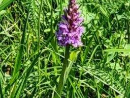 Wanderung_Juni_2023