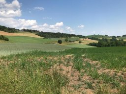 Wanderung_Juni_2023