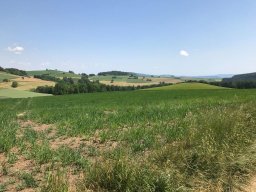 Wanderung_Juni_2023