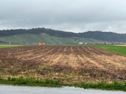 Wanderung_Maerz_2024