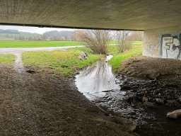 Wanderung_Maerz_2024