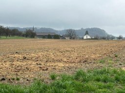 Wanderung_Maerz_2024