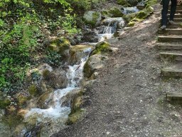 Wanderung_Mai_2023
