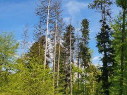 Wanderung_Mai_2023