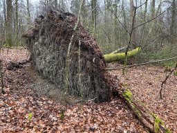 april_2024_Wanderung