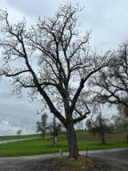 april_2024_Wanderung
