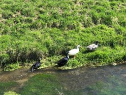 april_wanderung_2023