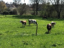 april_wanderung_2023