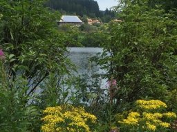 tagesausflug-schluchsee
