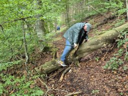 wanderung_oktober_2025
