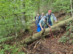 wanderung_oktober_2025